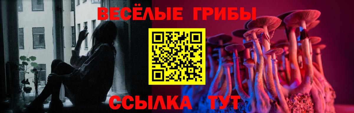 Галлюциногенные грибы Psilocybine cubensis Смоленск
